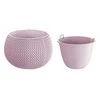 Prosperplast Vazonas Splofy Bowl Violetinis 16x24cm