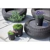Vazonas su įdėklu 4,75/4 l D200xH190 mm antracitas RATO ROUND Prosperplast