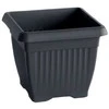 Prosperplast Dekoratyvinis gėlių vazonas Terra 19x19x16cm antrac. sp./kvadrat. /plastikinis