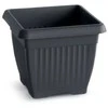 Prosperplast Dekoratyvinis gėlių vazonas Terra 24x24x20cm antrac. sp./kvadrat. /plastikinis