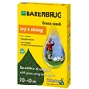 Vejos sėklos BARPOWER RPR, 1kg