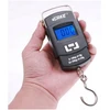 Verke KELIONĖS ŽVEJYBOS KABLIS SVARSTYKLĖS LCD 50 KG