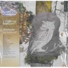 Videx Vilnonis apdangalas augalams apsaugoti Pelėda 1.1x1.1m 50g/m2 rudas