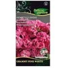 Vienmečių flioksų sėklos Delux Garden 10vnt. Grammy Rožinė Baltas
