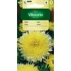 Vilmorin Astrų sėklos 0.5g