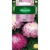 Vilmorin Astrų sėklos 0.5g Anielka