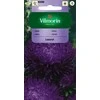 Vilmorin Astrų sėklos 0.5g Lazuryt