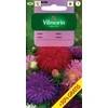 Vilmorin Astrų sėklos 1.5g Mix