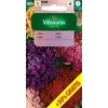 Vilmorin Astrų sėklos 1.5g Mix