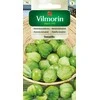 Vilmorin Fizalio sėklos 0.5g Tomatillo