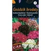 Vilmorin Gvazdikų sėklos 1g Carnation