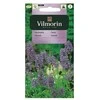 Vilmorin Katpėdžių sėklos 0.5g