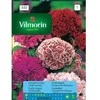 Vilmorin Kininių ratilių sėklos 0.5g Magdalena