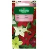 Vilmorin Kvapiojo tabako sėklos 0.5g