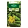 Vilmorin Lauko agurkų sėklos 5grupa 1.5g Octopus F1