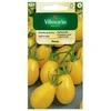 Vilmorin Lauko pomidorų sėklos 0.5g Perun