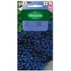 Vilmorin Lobelijų sėklos 0.5g