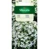 Vilmorin Lobelijų sėklos 0.5g