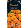 Vilmorin Medetkų sėklos 2g Marigold
