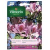 Vilmorin Orchidėjų sėklos 6g