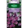Vilmorin Petunijų sėklos 0.1g