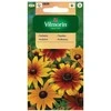 Vilmorin Plaukuotojų rudbekijų sėklos 1g
