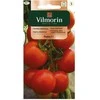 Vilmorin Pomidorų sėklos 0.1g PEDRO F1 šiltnamiams