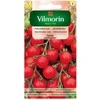 Vilmorin Pomidorų sėklos 1g CERISE lauko