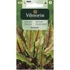 Vilmorin Rugštynių sėklos 0.2g BLUTAMPFER