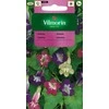 Vilmorin Šalavijų sėklos 0.5g