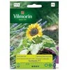 Vilmorin Saulėgrąžų sėklos P6 grupa 10vnt. Suntastic F1