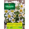 Vilmorin Šilagėlių sėklos 0.1g