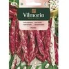 Vilmorin Šparaginių pupelių sėklos 30g FLAMBO žemosios