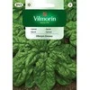 Vilmorin Špinatų sėklos 20g Spinacia oleracea