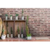 Viniliniai tapetai flizelino pagrindu ERISMANN BRICKS 90442, 0,53 x 10,05 m