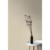 Viniliniai tapetai flizelino pagrindu GRANDECO A65603, 0,53 x 10,05 m