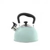 Domotti Virdulys 2,2 l SAMBA mėtinės spalvos Ambition 50893