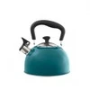 Domotti Virdulys AMBITION Samba 2,2L Turkio spalvos