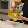Vyno indas su užspaudžiamu kamščiu Lady Demijohn Browin 5L su plastik. krepšiu