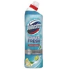 WC valiklis DOMESTOS Total Hygiene Lime Ocean, 750 ml