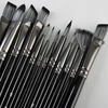 Wielorybie Rzeczy Nylon Artistic Paint Brushes ventiliatorių rinkinys 12vnt