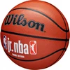 WILSON WILSON JR NBA FAMILY indoor outdoor 5 krepšinio kamuolys