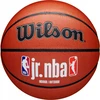 WILSON WILSON JR NBA FAMILY indoor outdoor 5 krepšinio kamuolys