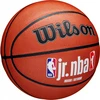 WILSON WILSON JR NBA FAMILY indoor outdoor 5 krepšinio kamuolys