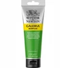 Winsor Newton Akriliniai dažai "galeria" 120 ml - "permanent Žalias Light"