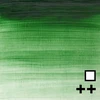 Winsor Newton Vinton aliejiniai dažai 37ml 637 Terre Verte