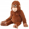 WKS DIDELIS MONKEY ORANGUTAN MASKOTAS 67 cm VELCRO RANKOS KOJOS PLIUSAS CADDY XXL