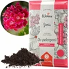 WOKAS 20L gėlių pelargonijų dirvožemis