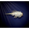 World Alive Akvariumas su LED Šviesomis Aqua Dragons 4003