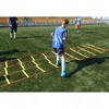 YakimaSport 3D trigubos koordinacinės kopėčios 6m Yakimasport